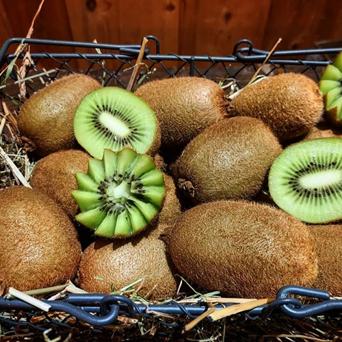 Photo de kiwis