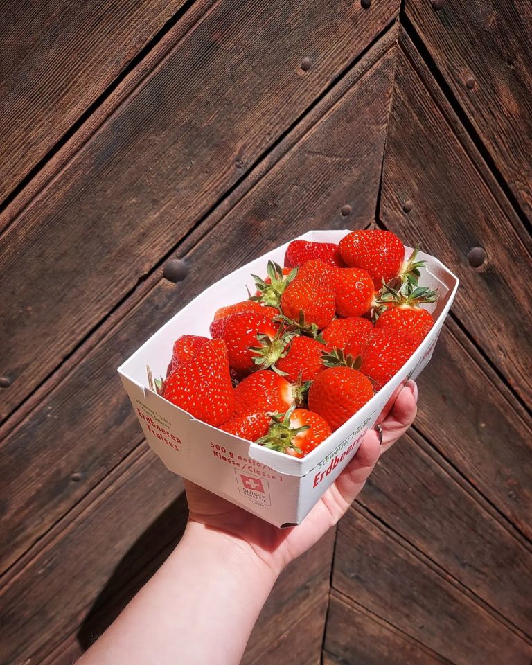 Bq fraises 2023
