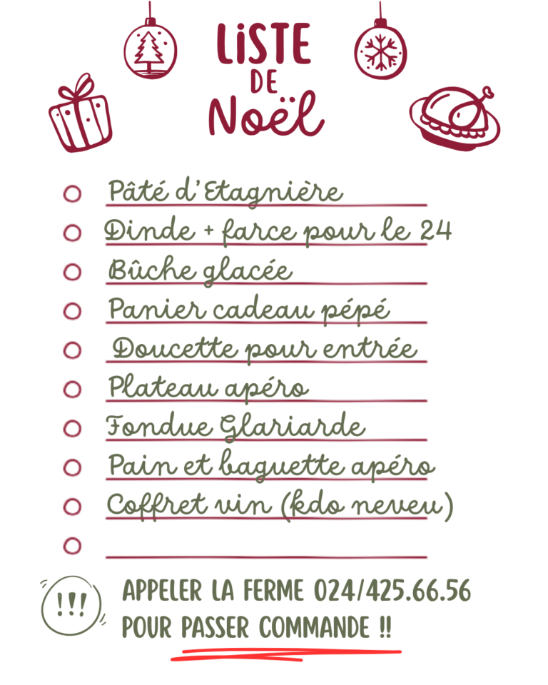 Copie de Liste Noël et réservations