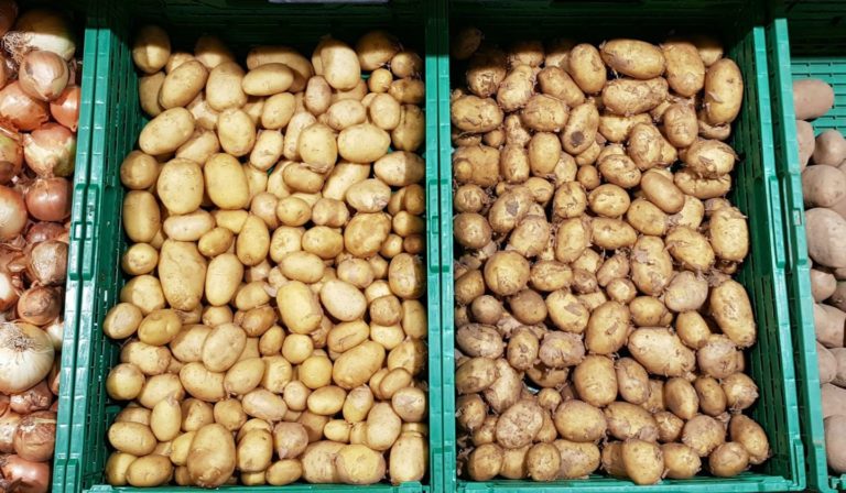 Patate nouvelle