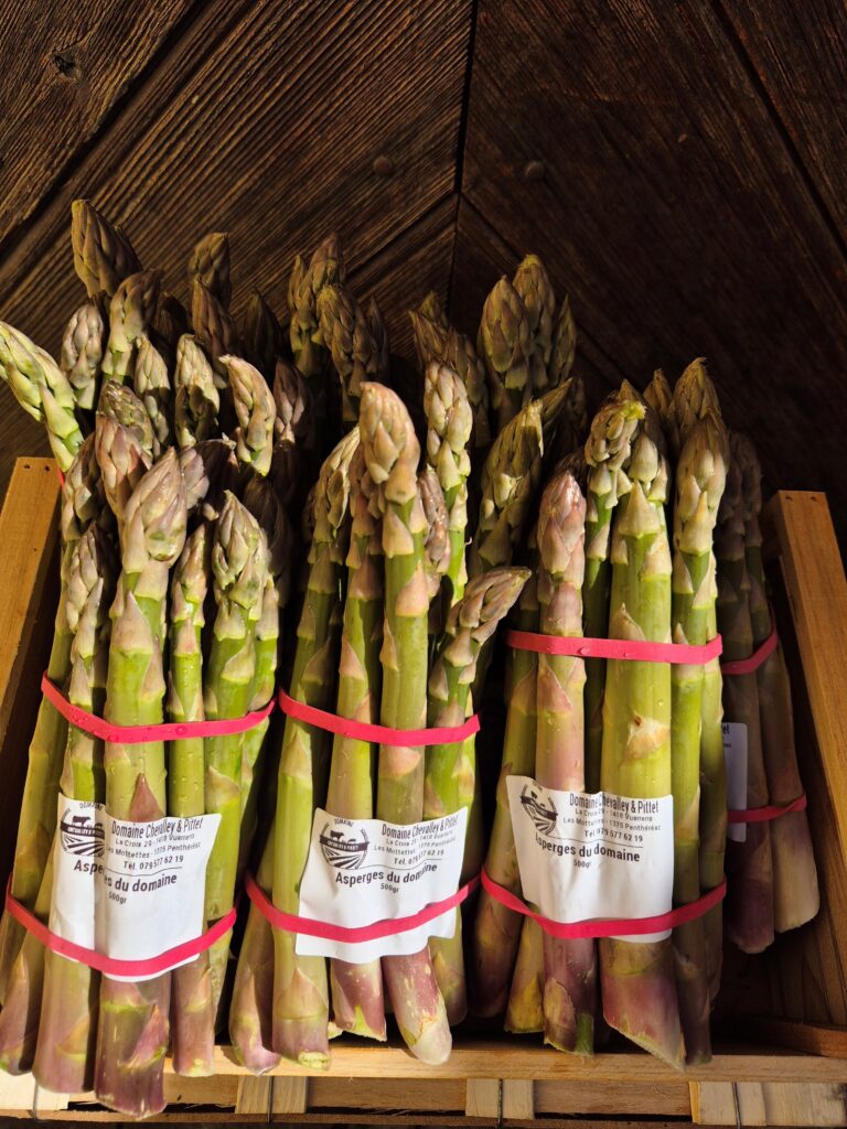 Asperges 2026